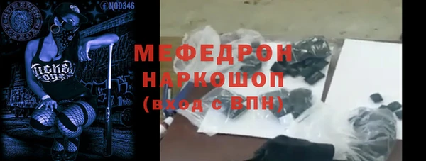 шишки Няндома