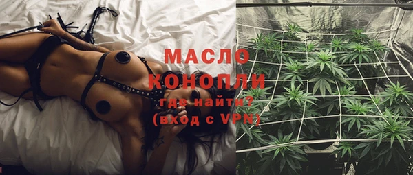 шишки Няндома